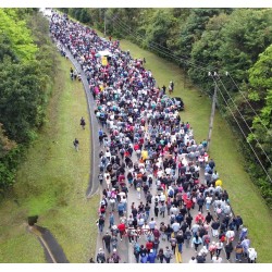 Romaria do Taquaral reunirá fiéis católicos no dia 12 de outubro